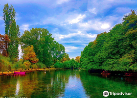 Driloni National Park