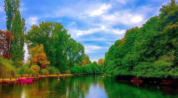 Driloni National Park