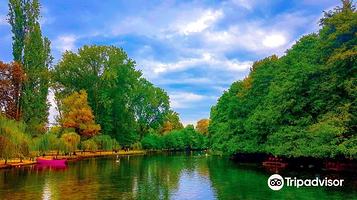 Driloni National Park