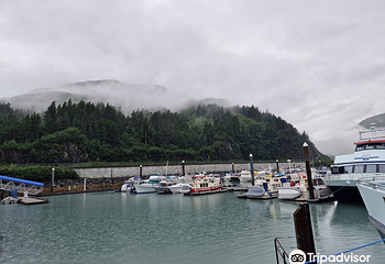 Whittier Harbor第 19 张图片