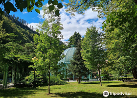 博尔若米中央公园