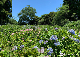 千叶市 昭和之森