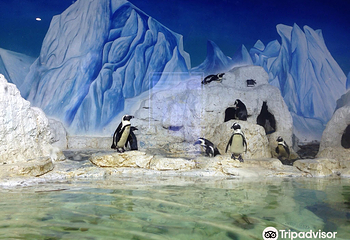 河内时代之城水族馆第 4 张图片