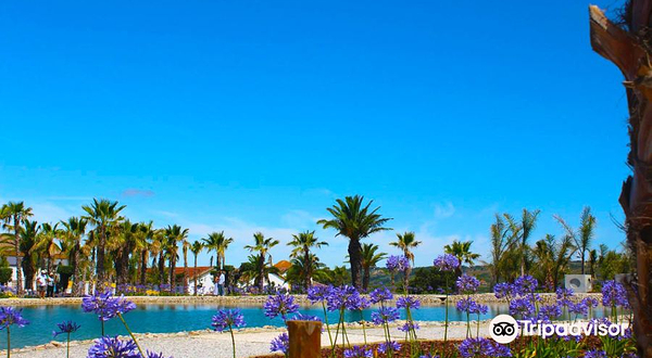 Bacalhoa Buddha Eden