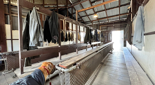 中央黛博拉金矿