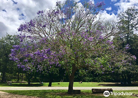 Mountview Alpaca Farm