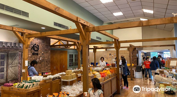 橘之乡蜜饯形象馆