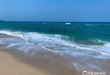洛山海水浴场第 7 张图片