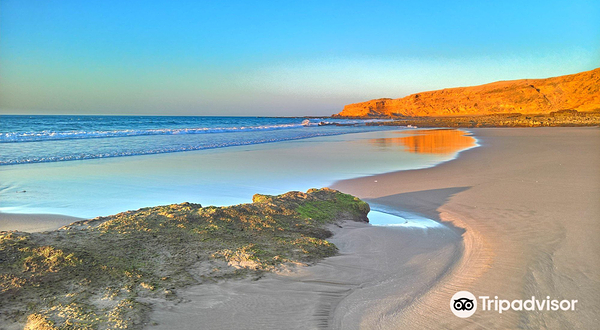 National Park of Souss Massa
