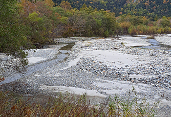 岳沢湿原第 20 张图片