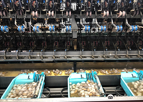 Cuong Hoan Silk Factory