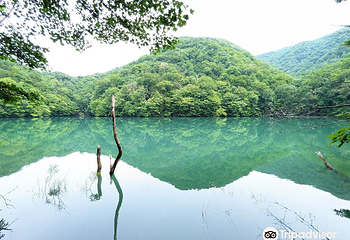 青池第 9 张图片