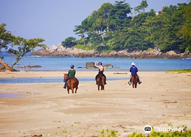 普吉国际马术俱乐部