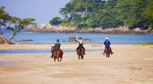 普吉国际马术俱乐部