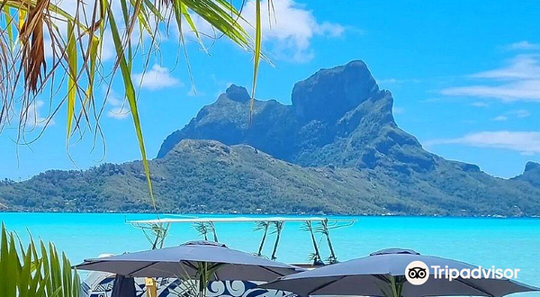 Lagoon Service Bora Bora