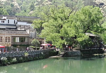 上坦村第 6 张图片