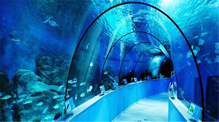 多彩贵州城极地海洋世界第 7 张图片
