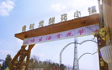 慢时光鲜花小镇第 1 张图片