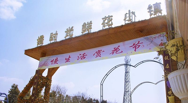 慢时光鲜花小镇