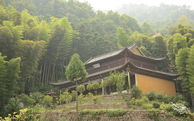 大龙山乌龙溪景区第 15 张图片