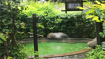 宁乡灰汤紫龙湾温泉度假区第 3 张图片