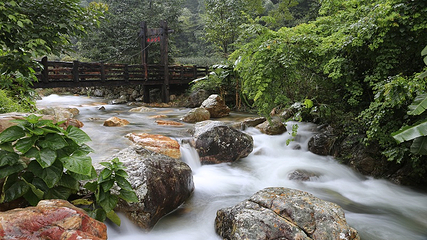 雁南飞茶田景区-桥溪古韵第 7 张图片