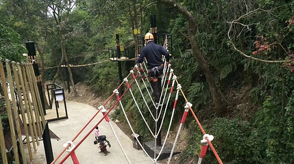 南丹山森林王国第 51 张图片