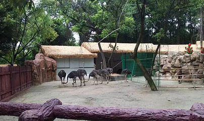 紫马岭动物园第 14 张图片