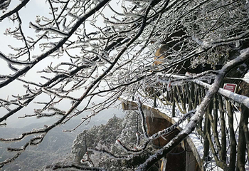 灵山风景区第 75 张图片