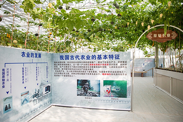 迪茵湖第 84 张图片