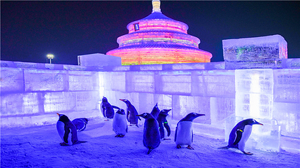 哈尔滨冰雪大世界第 123 张图片