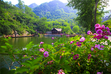 九如山休闲旅游度假区第 150 张图片