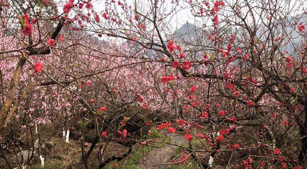 桃源生态旅游区