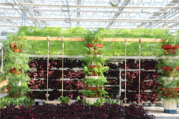 神农时代文化旅游区第 24 张图片