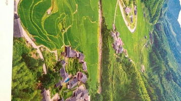 罗溪国家森林公园