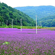 大北岔山风景区