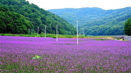 大北岔山风景区第 1 张图片