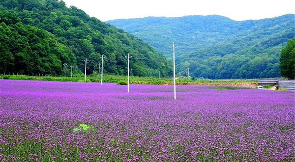 大北岔山风景区