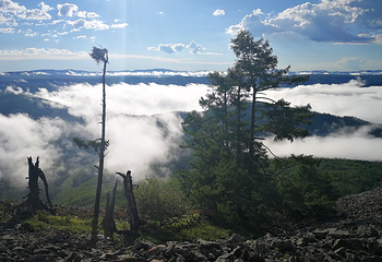 阿尔山白狼峰景区第 55 张图片