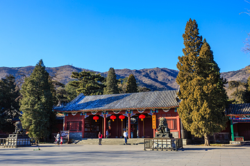 香山公园第 12 张图片