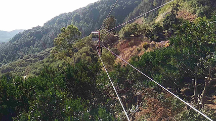 印山国家森林康养基地第 4 张图片