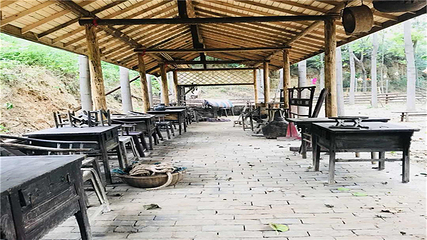 孤柏渡黄河塬休闲旅游区第 7 张图片