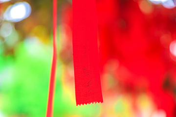 千灯古镇-延福禅寺第 22 张图片