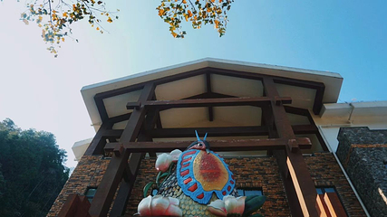 文成铜铃山森林公园景区第 35 张图片