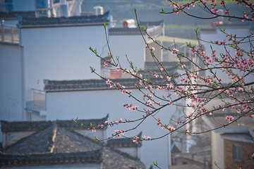 江岭景区第 43 张图片
