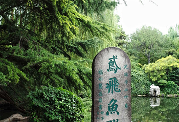 趵突泉景区第 184 张图片