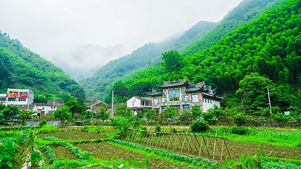 顾渚村第 5 张图片