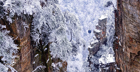 天子山风景区第 12 张图片