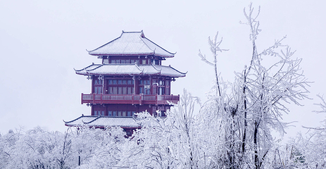 天子山风景区第 16 张图片