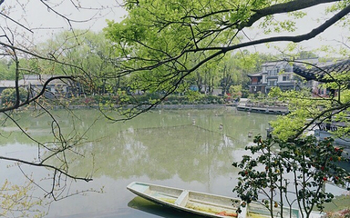 青芝坞第 24 张图片